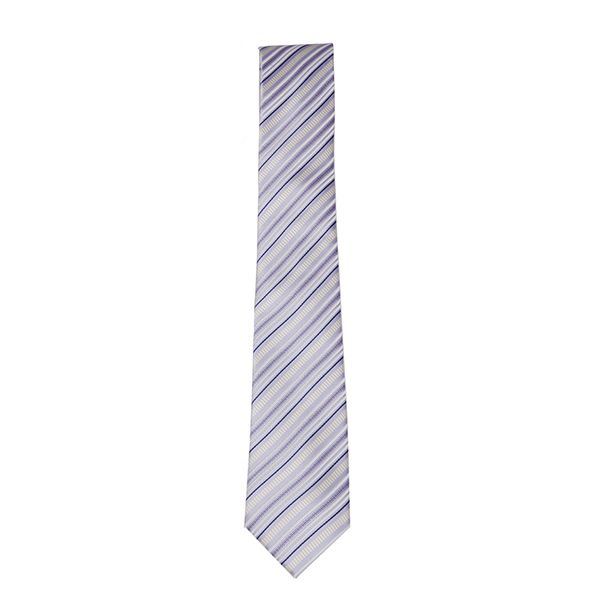 Elegant Silk Paisley Jaqauard Stripes Men's Tie 
