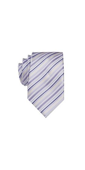 Elegant Silk Paisley Jaqauard Stripes Men's Tie 